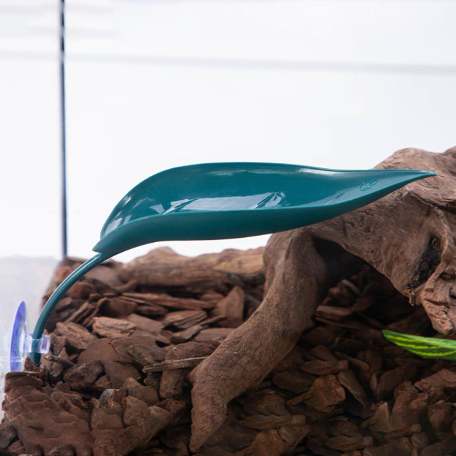 3 Pcs Turtle Basking Platform Leaf Shape Bearded Dragon Basking Platform with Suction Cups Tree Frog Tank Accessories for Leopard Gecko Tank Decor 