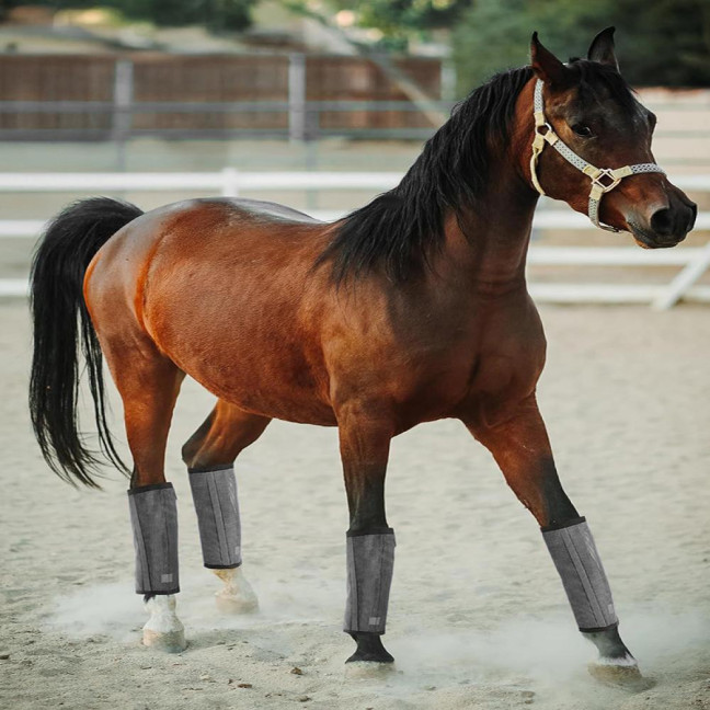 4 Pcs Horse Fly Boots Breathable Mesh Horse Leggings Equine Supplies for Reducing Stomping Hoof Damage Leg Fatigue