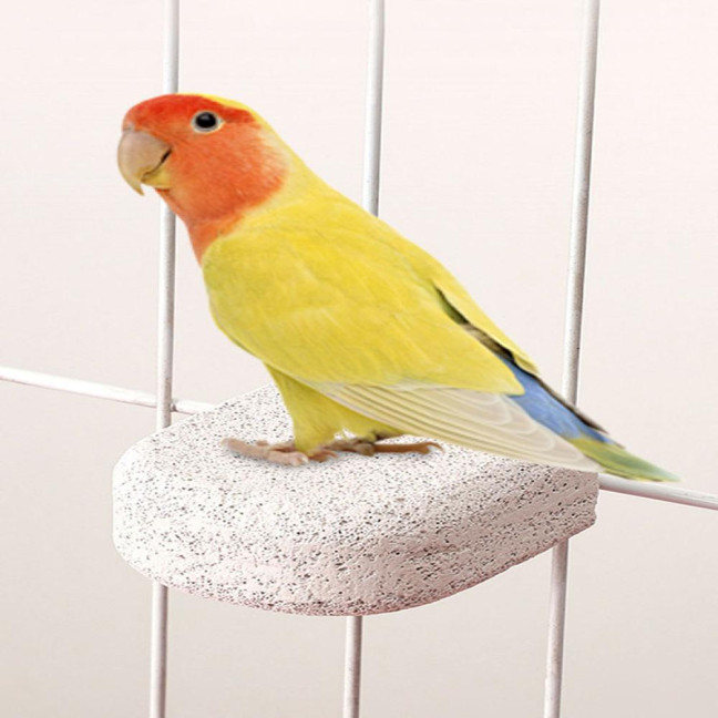 4 Pcs Birds Beak Grinding Stone Parrot Calcium Perch Chewing Toy Birds Foot Claws Trimmer Platform for Small Medium Birds Parakeet Lovebird Cockatiel Conure