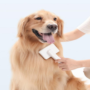 Pet Comb Ergonomic Design Comfortable Grip Steam Cat Brush with Stainless Steel Teeth Anti-scratch Cat Grooming Tool