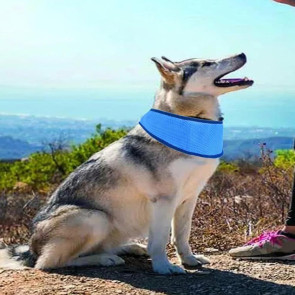 2 Pcs Dog Cooling Bandana Summer Outdoor Neck Wrap Ice Scarf Adjustable Dog Cooling Collar for Small Medium Large Breeds 