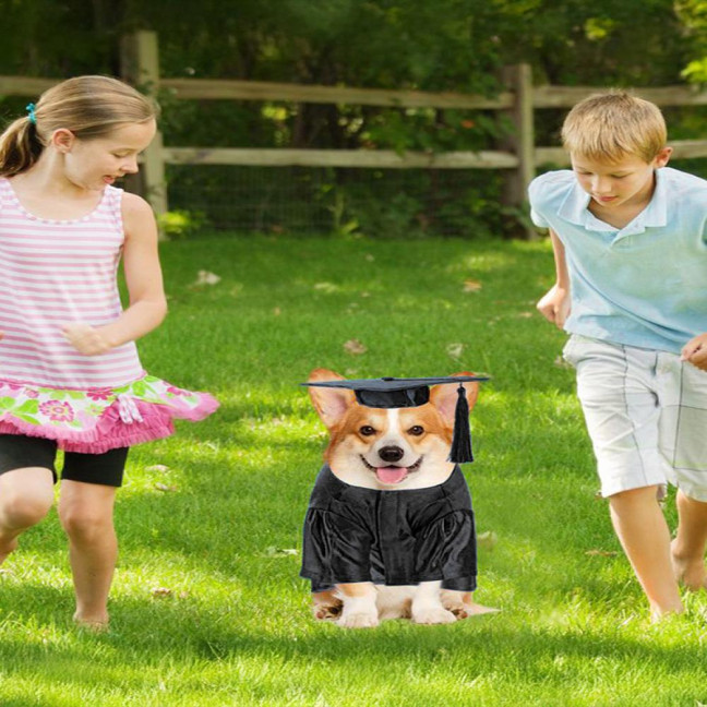 2025 Dog Graduation Costume Set Pet Graduation Cap with Tassel And Washable Gown Set for Dogs Cats Holiday Halloween Party Accessory