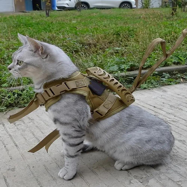 Tactical Cat Harness for Outdoor Walking Adjustable Escape Proof Pet Vest Breathable Cat Chest Strap with Handle for Small Large Cats