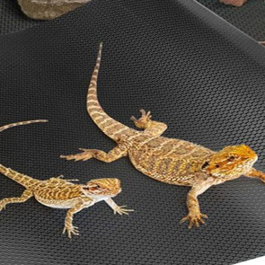 Reptile Carpet Bedding Cuttable Terrarium Substrate Liner Non-Slip Bearded Dragon Tank Mat for Snake Lizard Tortoise Leopard Gecko Tank Accessories