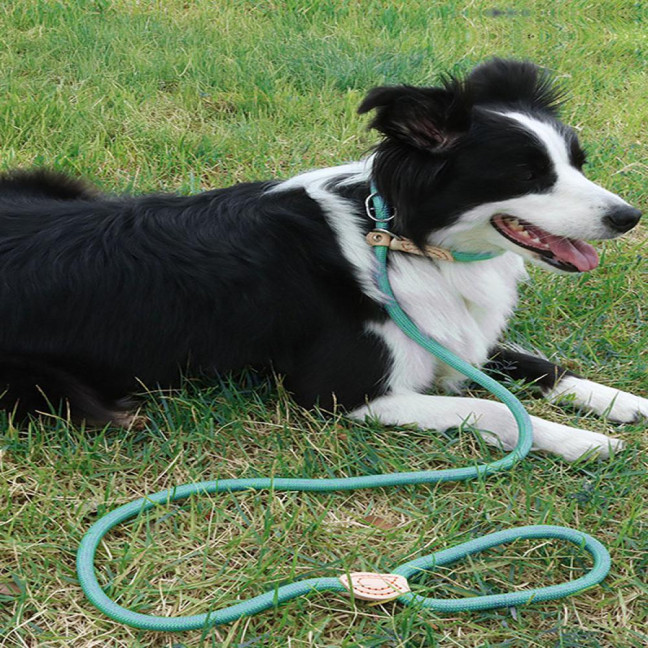 Slip Leads for Dogs Heavy Duty Nylon Rope Slip Leash for Large Medium Dogs No Pull Training Leash for Walking Control