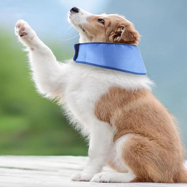 Dog Cooling Collar Summer Breathable Pet Cooling Bandana Adjustable Instant Cooling Ice Scarf Anti-Sunstroke Dog Neckerchief for Small Large Dogs Dog Cooling Collar Summer Breathable Pet Cooling Bandana Adjustable Instant Cooling Ice Scarf Anti-Sunstroke Dog Neckerchief for Small Large Dogs