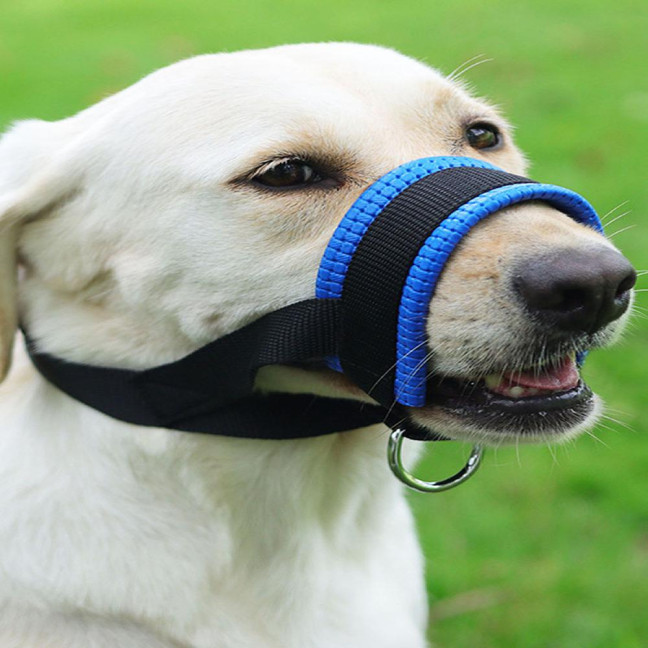 Dog Muzzle Adjustable Loop Nylon Mouth Guard Breathable Anti Barking Biting Chewing Muzzle with Reflective Straps for Small Medium Large Dog Dog Muzzle Adjustable Loop Nylon Mouth Guard Breathable Anti Barking Biting Chewing Muzzle with Reflective Straps for Small Medium Large Dog