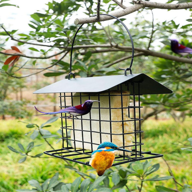Suet Feeder for Outside Hanging Metal Suet Cake Holder Weatherproof Single Suet Cage Birds Feeder for Wild Birds Woodpecker