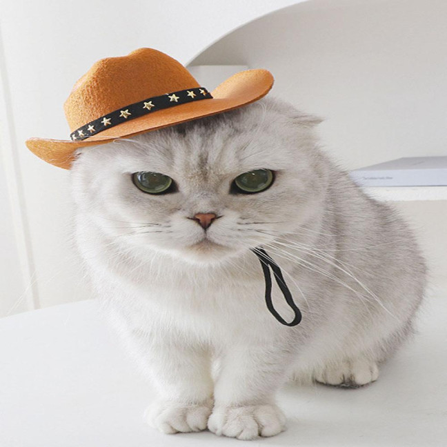 Pet Cowboy Hat Adjustable Dog Cosplay Cap Halloween Christmas Costume Accessory for Dogs Cats Dress Up Party Decoration