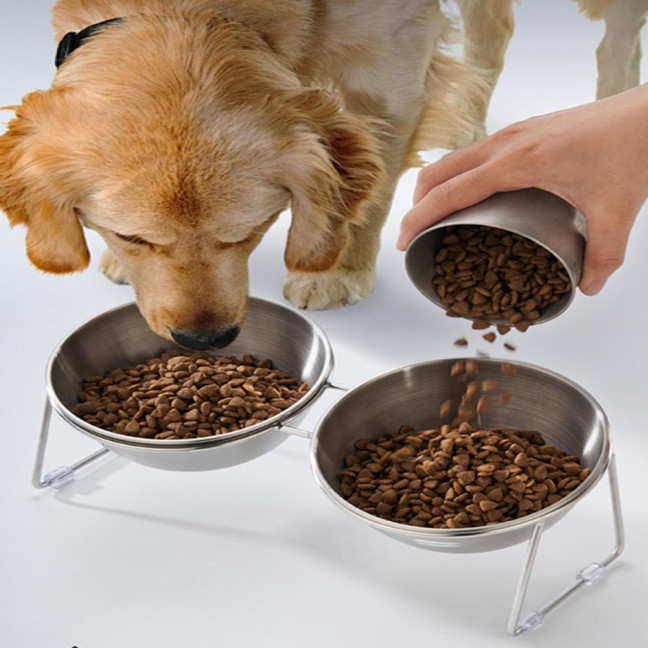 Stainless Steel Elevated Cat Bowl Tilted Raised Cat Bowl with Metal Stand Pet Feeding Dish to Prevent Fatigue for Indoor Cat And Dog
