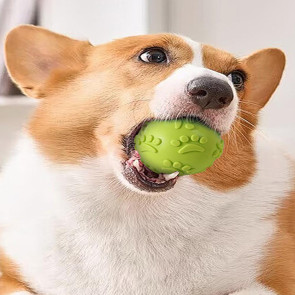 Dog Squeaky Ball Toy Interactive TPR Ball Chew Toy for Aggressive Chewers Puppy Teeth Cleaning Toy for Large Small Dogs