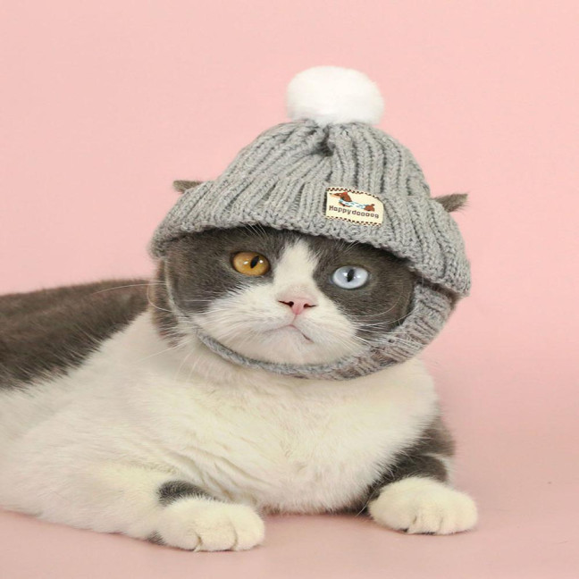 Knitted Dog Hat Cat Pompon Hat Winter Warm Hat with Ear Holes for Small Dogs And Cats Daily Wear Photography Prop