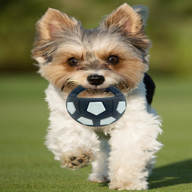 2Pcs Dog Toy Ball Kettlebell Design Rubber Squeaky Ball with Handle Interactive Toss And Fetch Toy for Medium Large Breeds Dogs Play Exercise 2Pcs Dog Toy Ball Kettlebell Design Rubber Squeaky Ball with Handle Interactive Toss And Fetch Toy for Medium Large Breeds Dogs Play Exercise