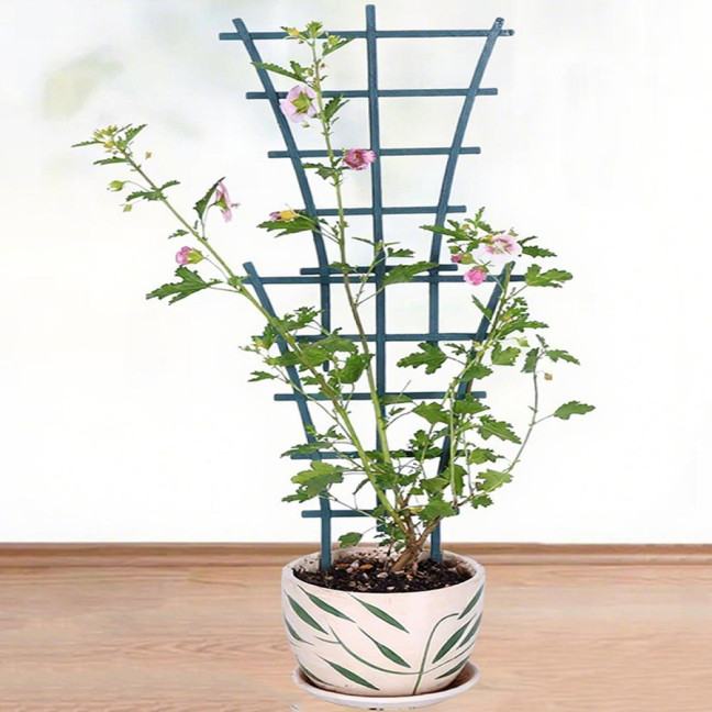 Plant Climbing Frame Stackable Support Trellis Planter Insert Houseplant Trellis for Potted Ivy Roses Cucumbers Home Indoor Outdoor Gardening