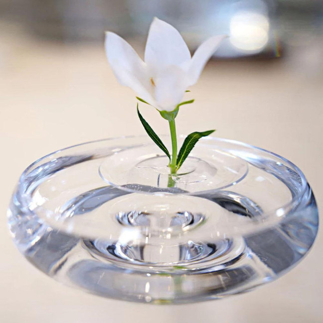 Floating Flower Stem Holder Clear Floating Floral Arrangement Holder Dynamic Rotation Flower Holder Bowl for Fish Tanks Table Decor Floating Flower Stem Holder Clear Floating Floral Arrangement Holder Dynamic Rotation Flower Holder Bowl for Fish Tanks Table Decor