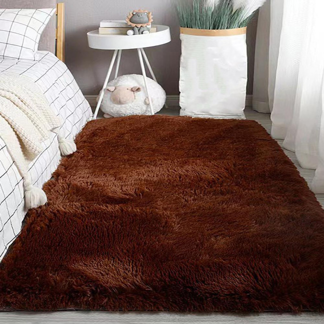 Fluffy Floor Mat Plush Area Rug with Non-slip Backing Shaggy Fuzzy Bedroom Carpet Bedside Rug for Nursery Playroom Living Room Dorm